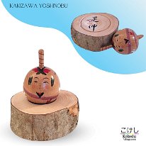 Kakizawa Yoshinobu (柿沢是伸) YOB 1974 Master Kakizawa Koretaka Top Spinners