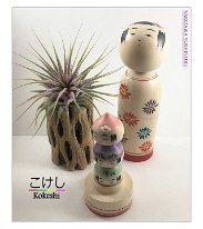 Kakizawa Yoshinobu (柿沢是伸) Nesting type doll, the little babies all fit inside this dol