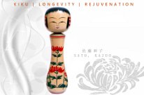 Sato Kazuo (佐藤一夫) DOB 1936 Master Sato, Yonezo. Chrysanthemum (kiku) flower design.